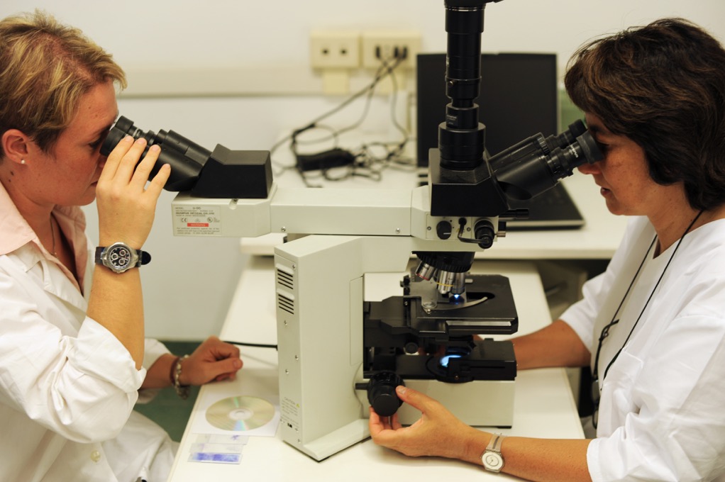 STUDIO DERMATOLOGICO VETERINARIO