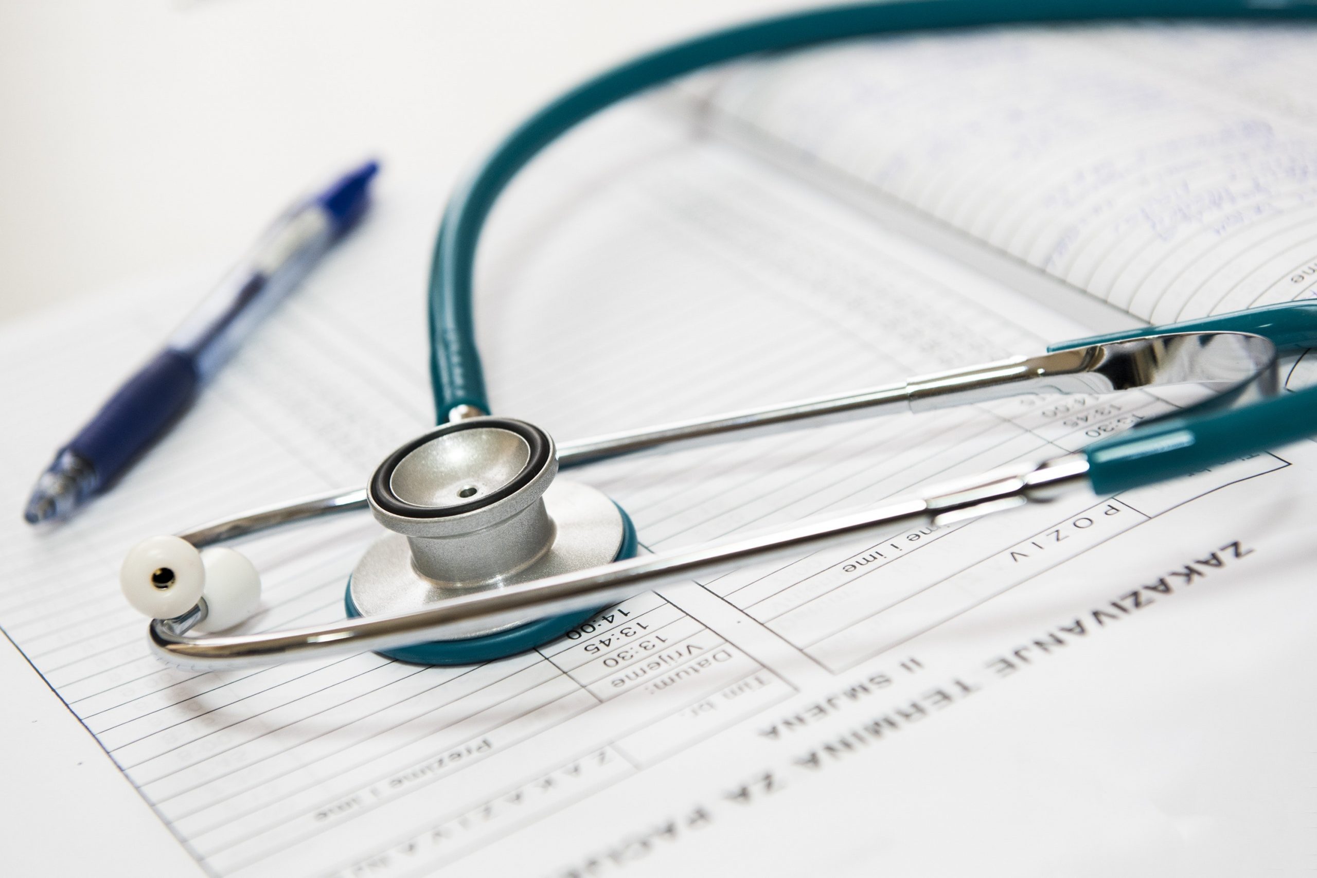 consenso informato veterinario
