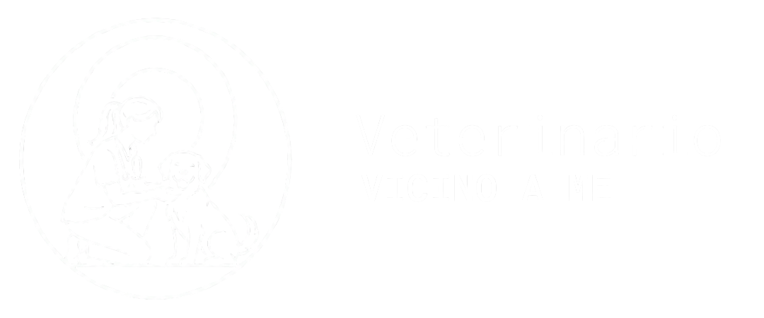 Logo VVM white & text with transparent background